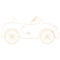 CARRITOS