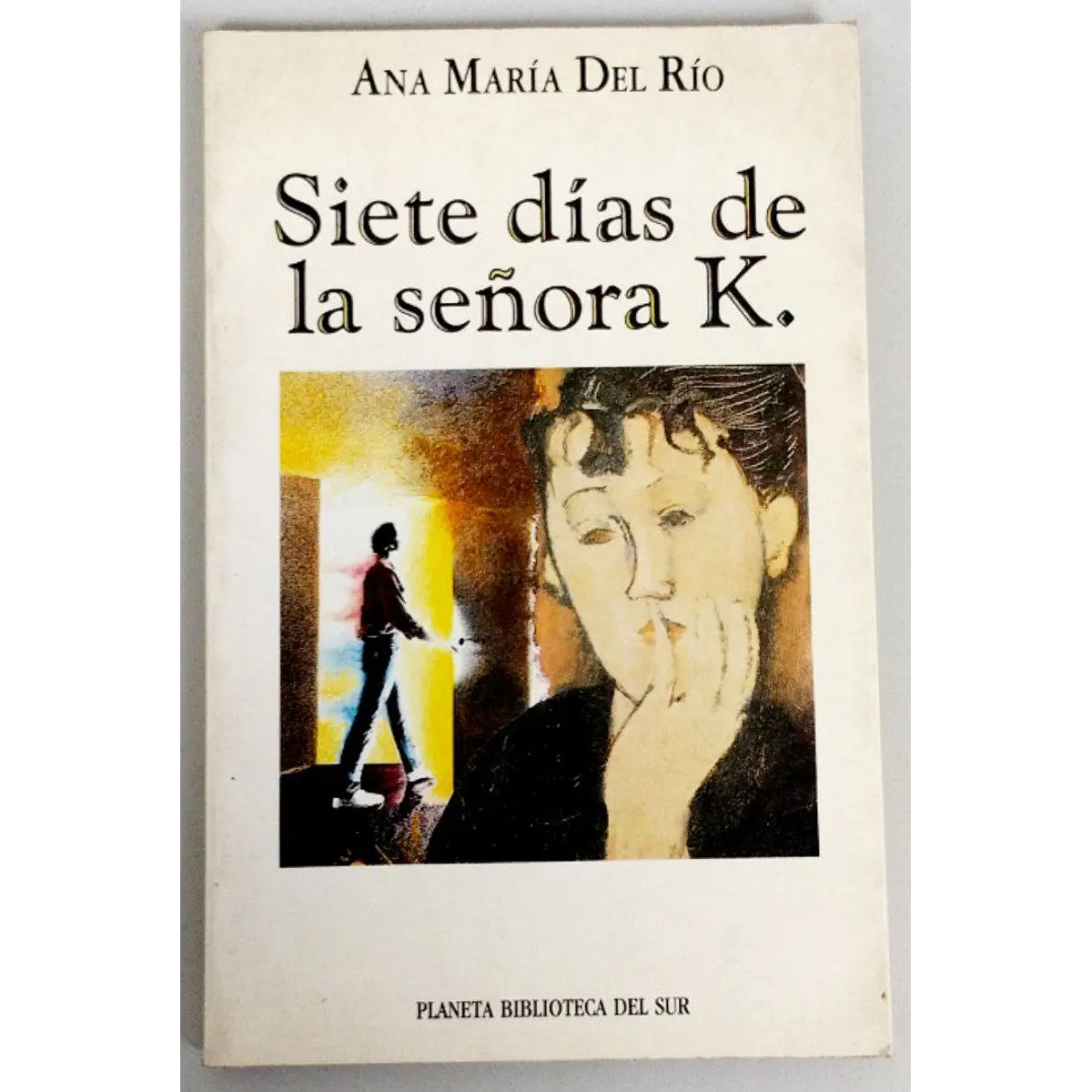 Ana María del Río. Siete días de la señora K.
