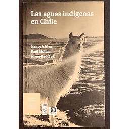Las aguas indígenas en Chile. Nancy Yáñez, Raul Molina Compiladores. 