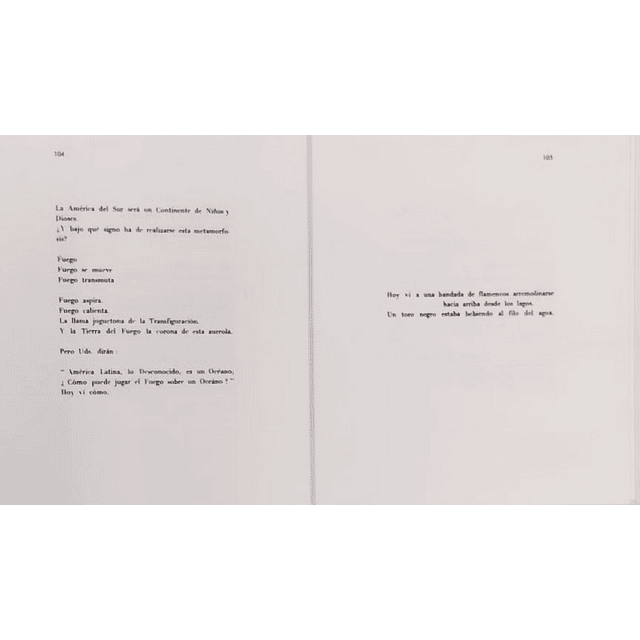 Amereida poesía y arquitectura : Godofredo Iommi, Alberto Cruz