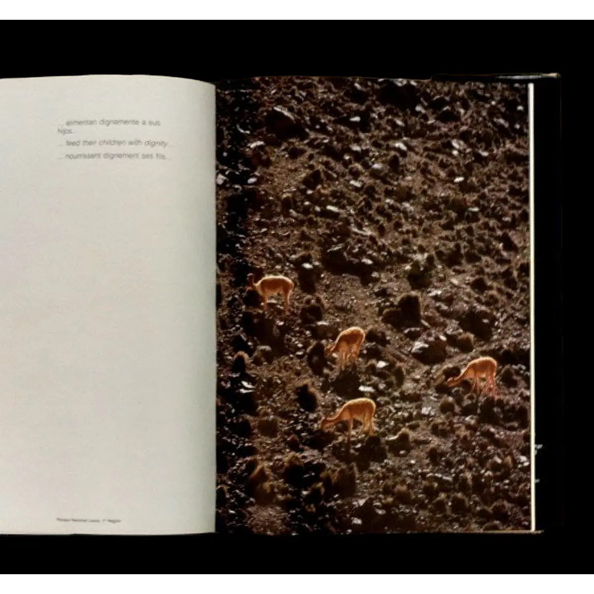 George Munro. Norte Grande: El Misterio de la Creación.