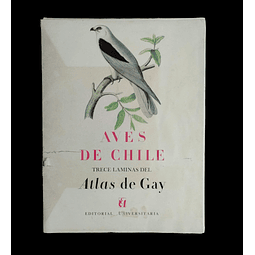 Aves de Chile | Trece láminas del Atlas de Gay