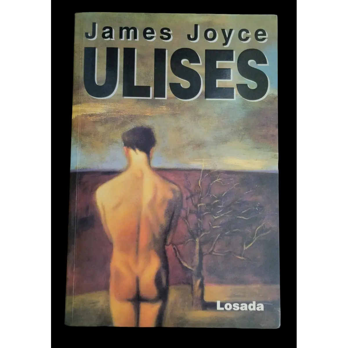 James joyce ulises