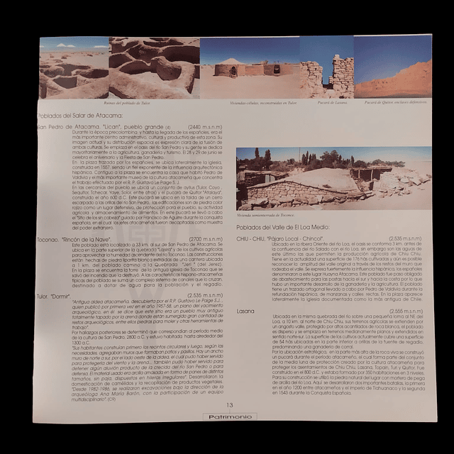 Calama provincia El Loa: recopilación de valores patrimoniales, culturales y geográficos: fundamentos para la formulación de tipologías arquitectóniocas y del paisaje | Darío Rodriguez