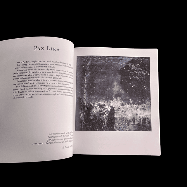 Diez x 10: Tributo Artístico a Juan Emar. Juan Carlos Edwards Gestor y editor. 