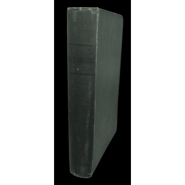 Raza Chilena. Libro escrito por un chileno i para los chilenos | Nicolás Palacios