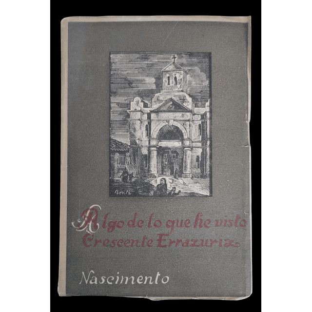 Algo de lo que he visto | Crescente Errázuriz