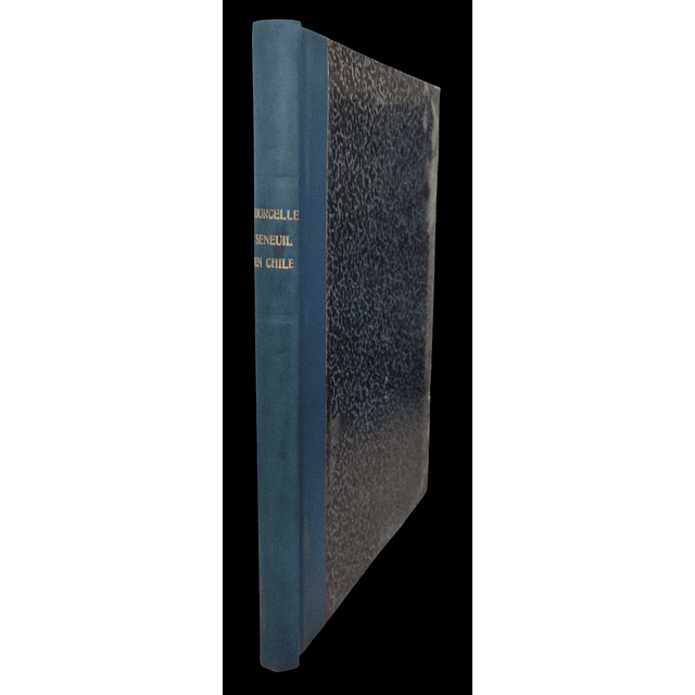 Courcelle - Seneuil en Chile. Errores del liberalismo económico | Leonardo Fuenzalida Hernández