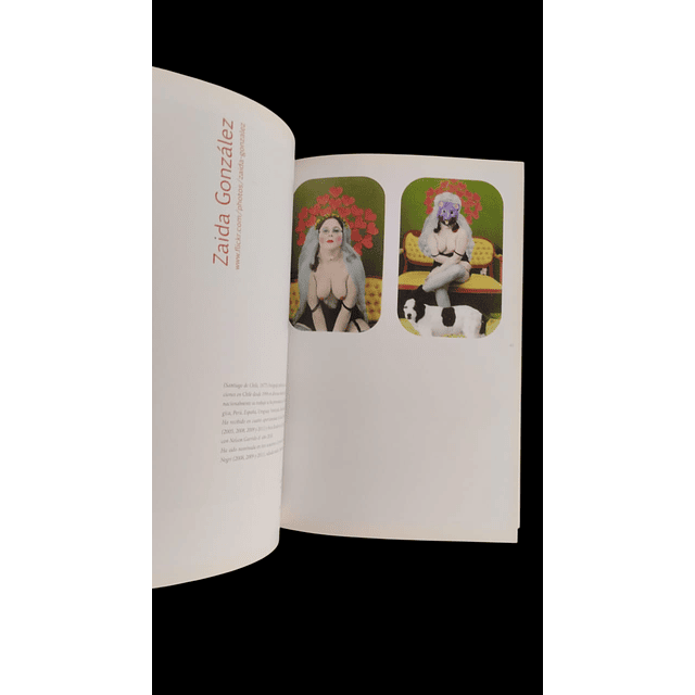 Diálogos y fotografía. dos mil trece | Concepto: Leonora Vicuña, Patricio Salinas y Mauricio Toro Goya.