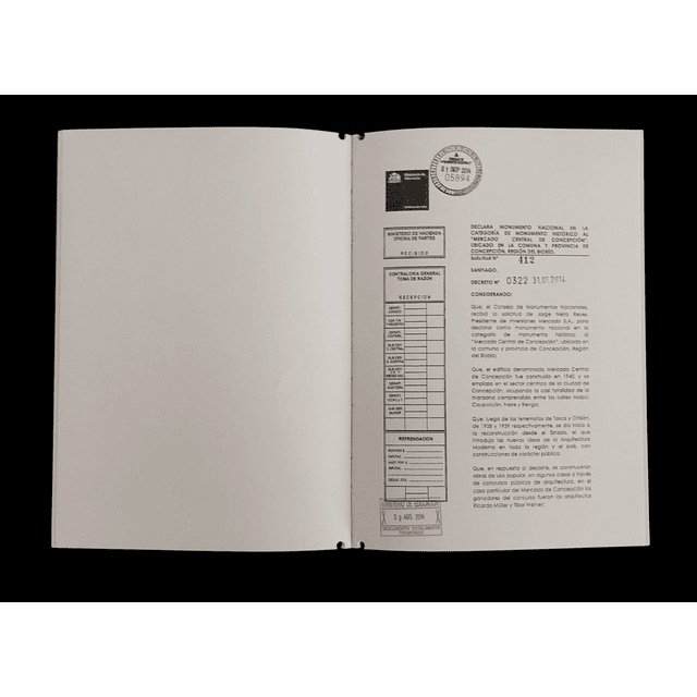 Concepción de Mercado | Alexis Díaz Belmar