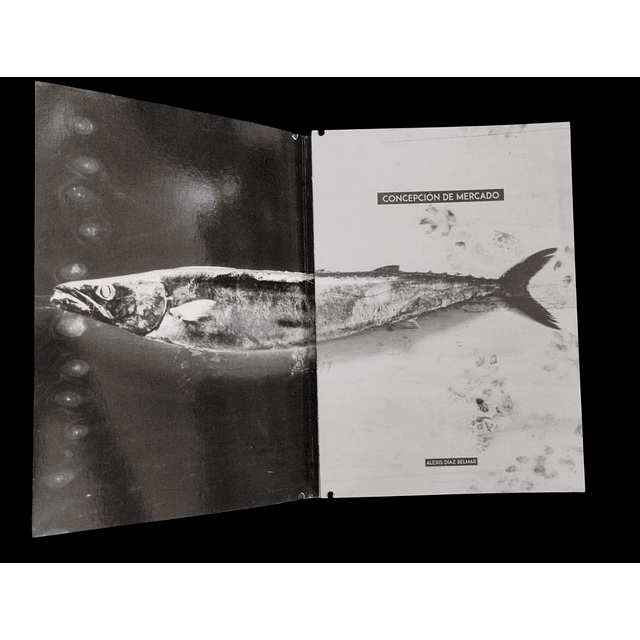 Concepción de Mercado | Alexis Díaz Belmar