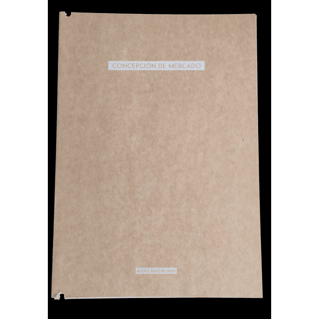 Concepción de Mercado | Alexis Díaz Belmar
