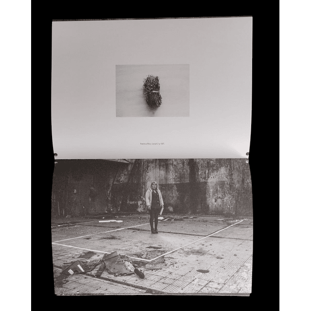 Concepción de Mercado | Alexis Díaz Belmar