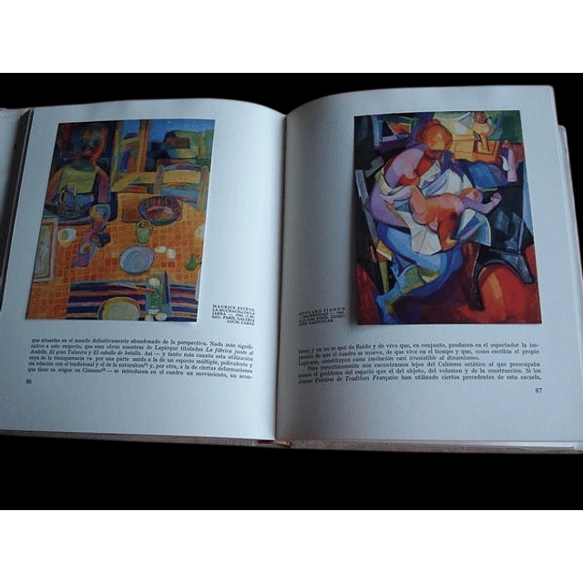 Los pintores del siglo XX. Pintura Francesa.  II Tomos | Bernard Dorival