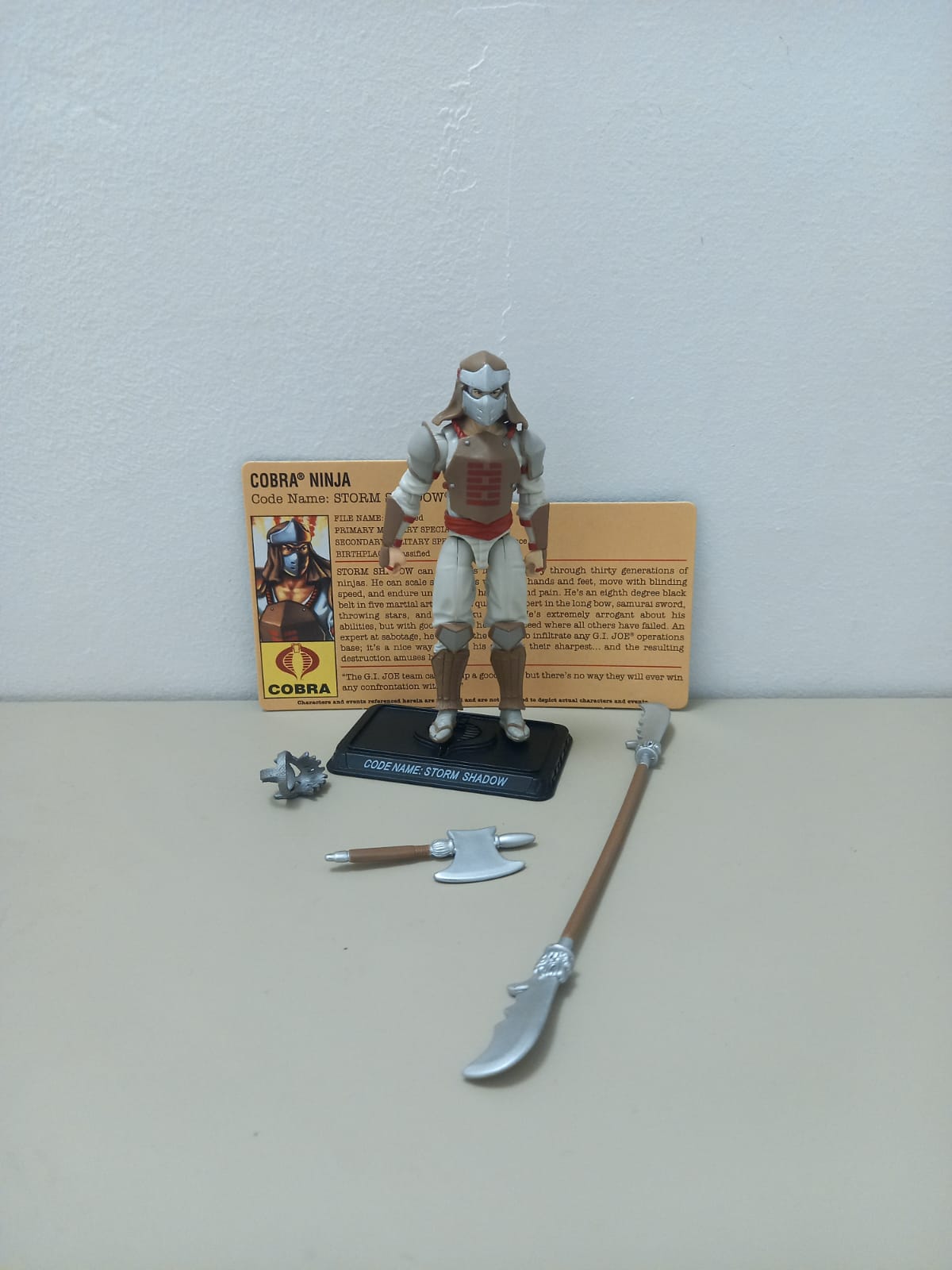 STORM SHADOW V28