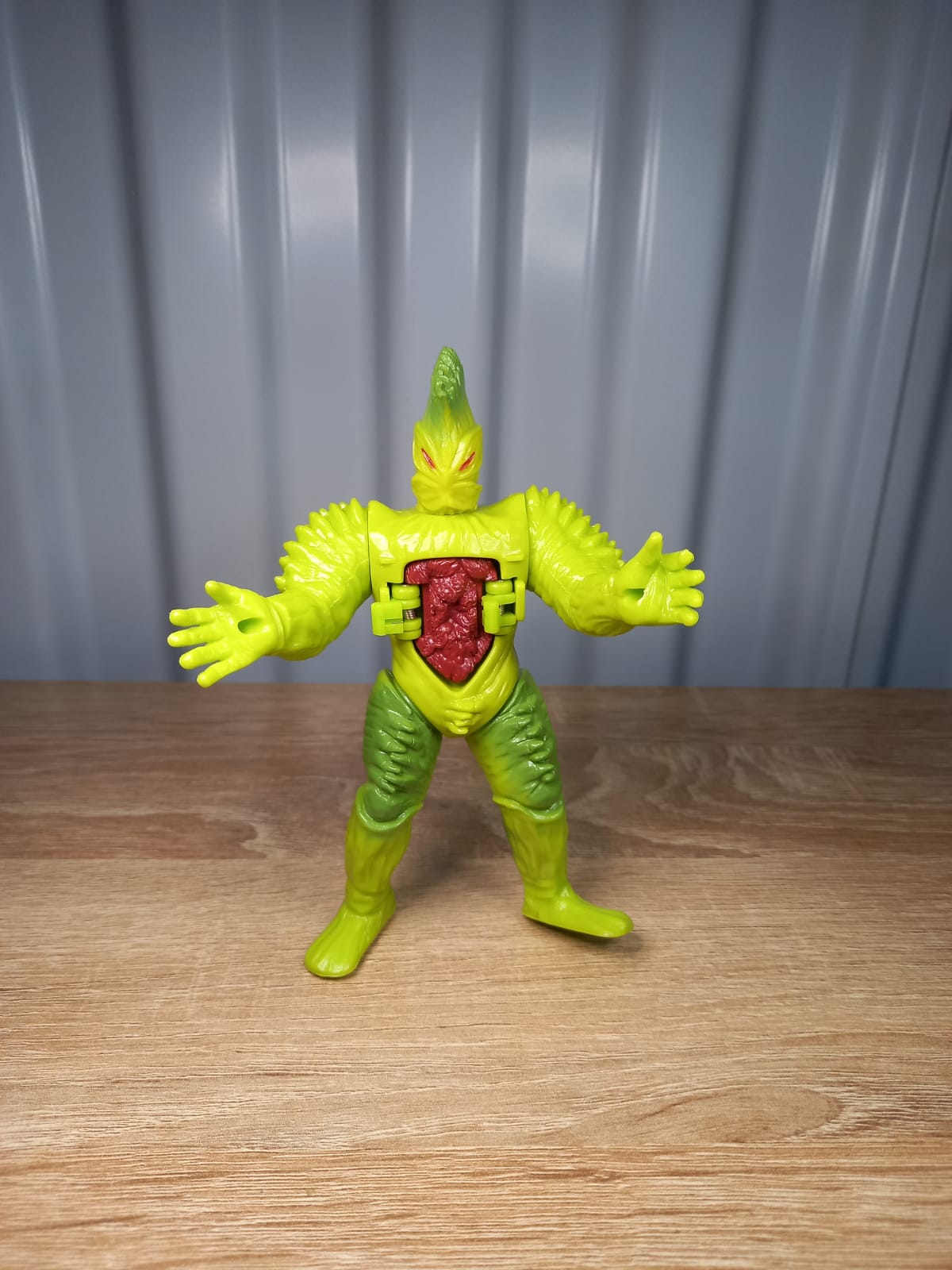 FLY TRAP