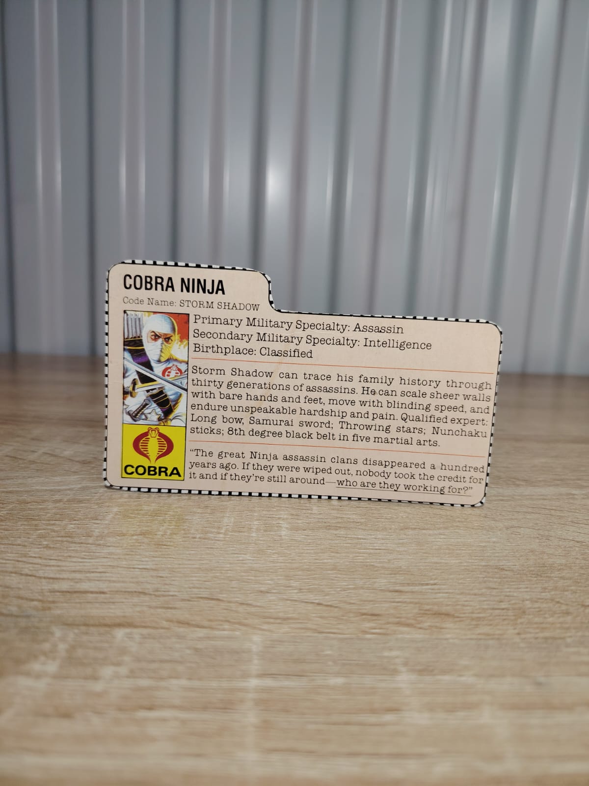 FILECARD STORM SHADOW