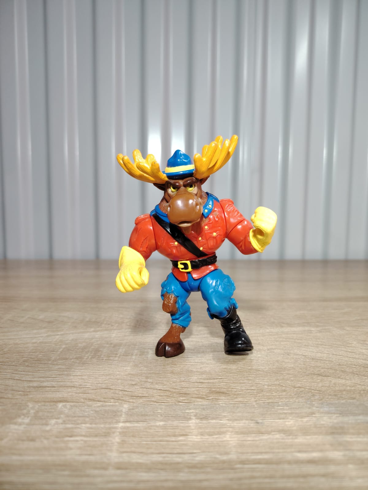 MONTY MOOSE