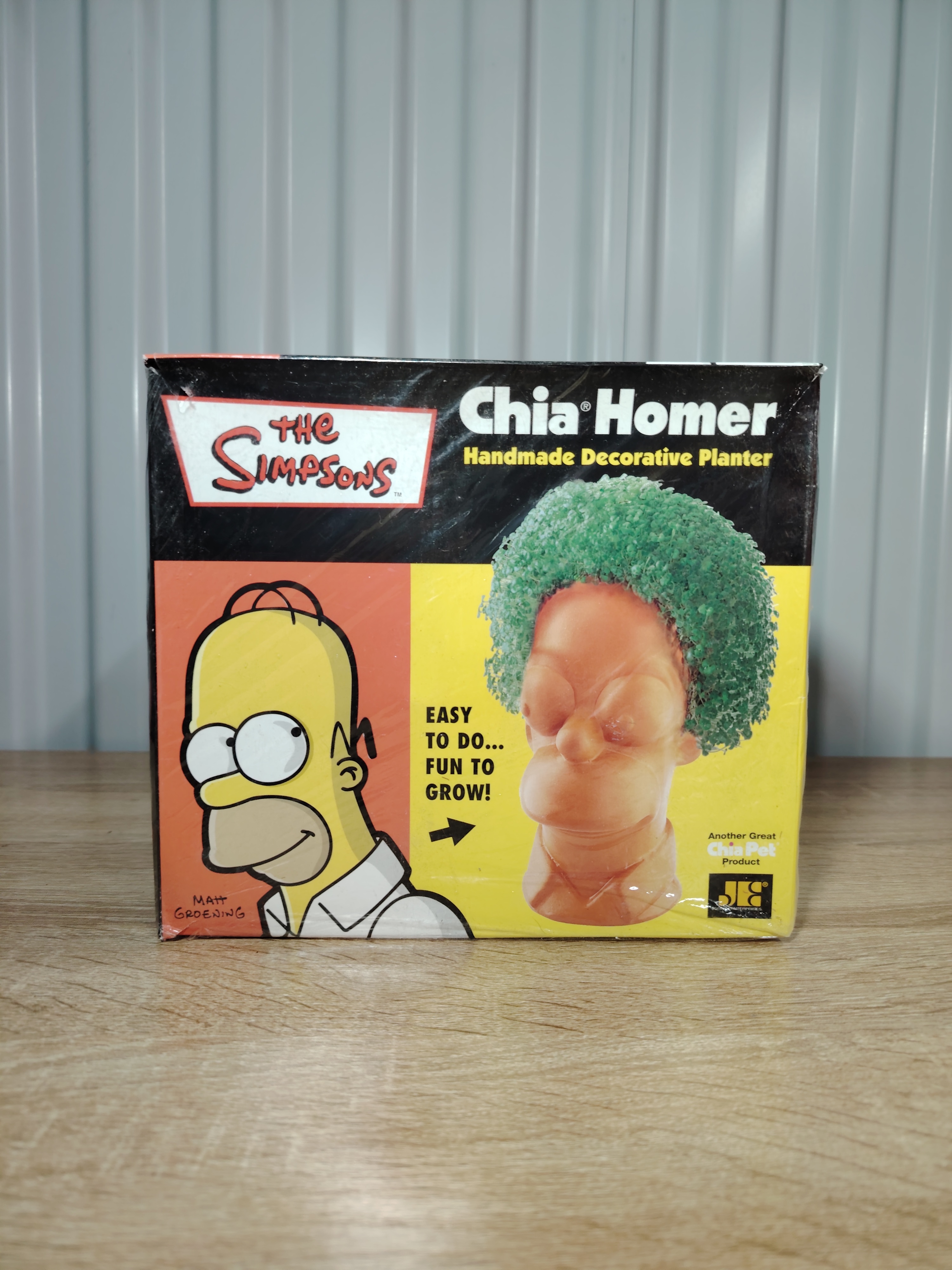 CHÍA HOMER