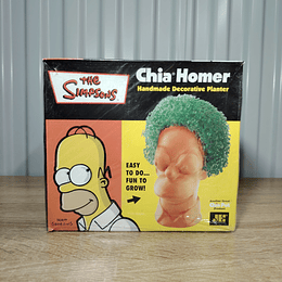 CHÍA HOMER