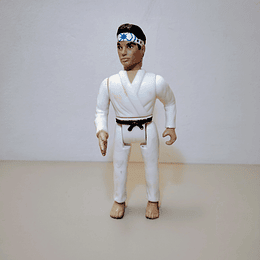 DANIEL LARUSSO, THE KARATE KID