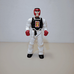 KICK STAR, KARATE FIGHTERS 