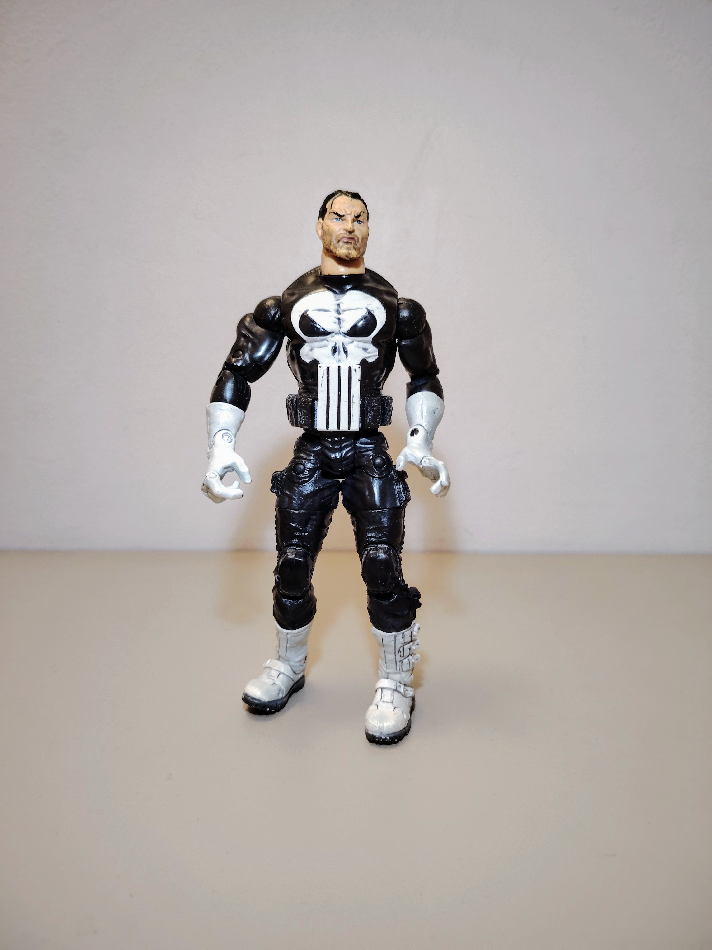 THE PUNISHER