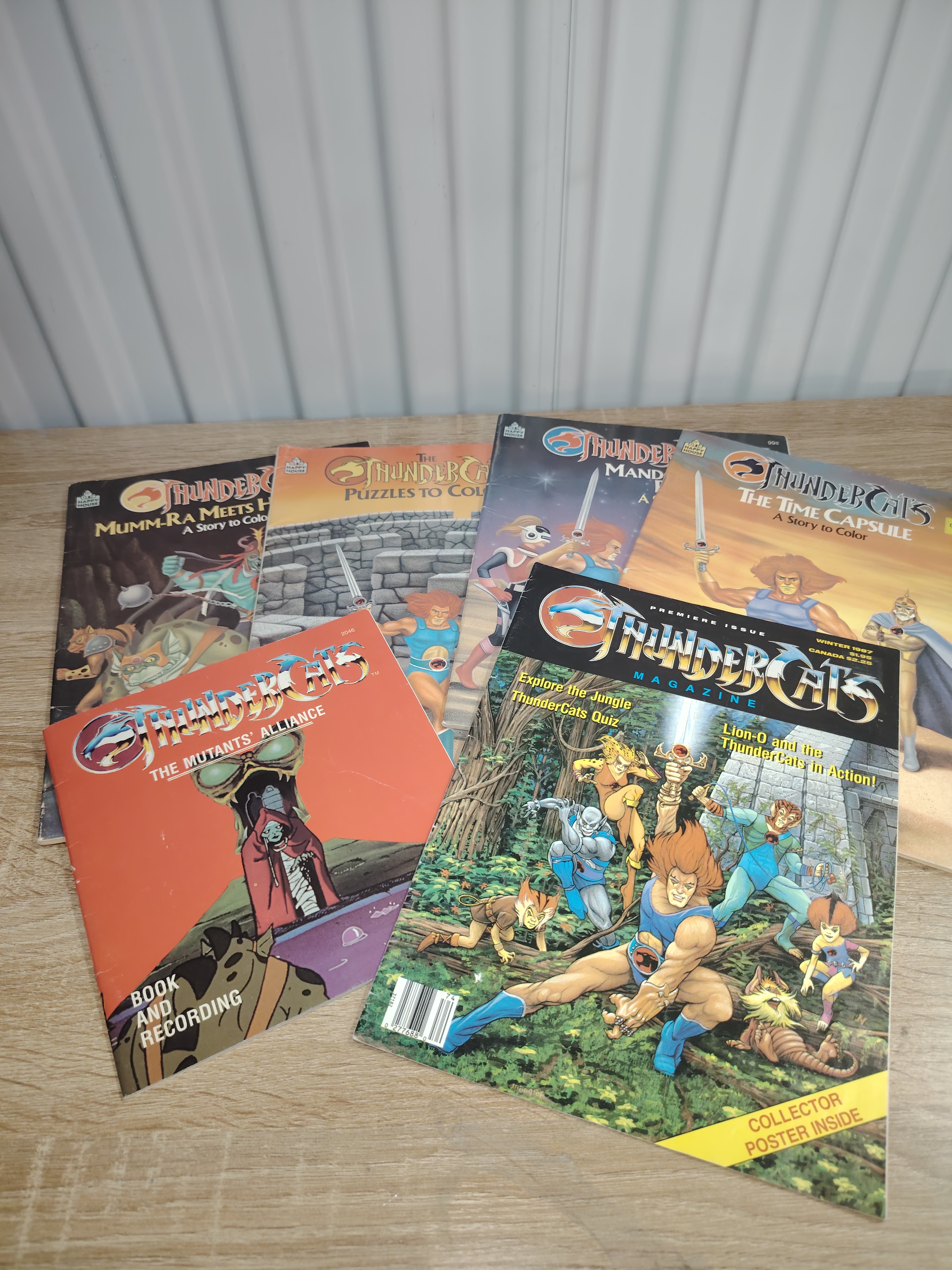 LOTE REVISTA THUNDERCATS