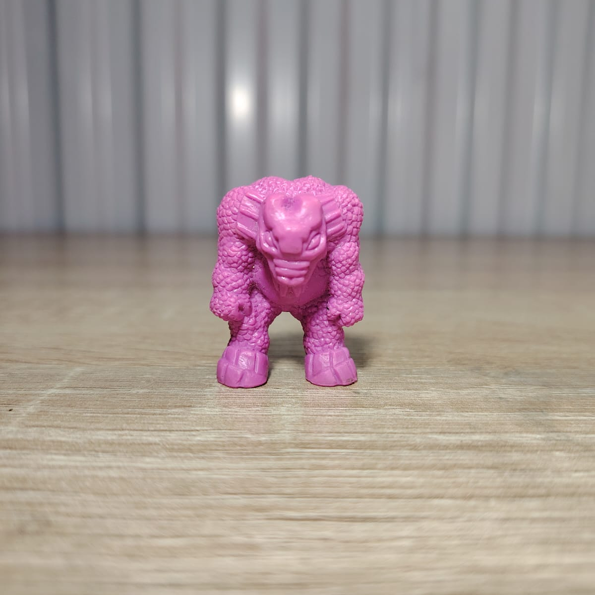 MONSTER IN MY POCKET