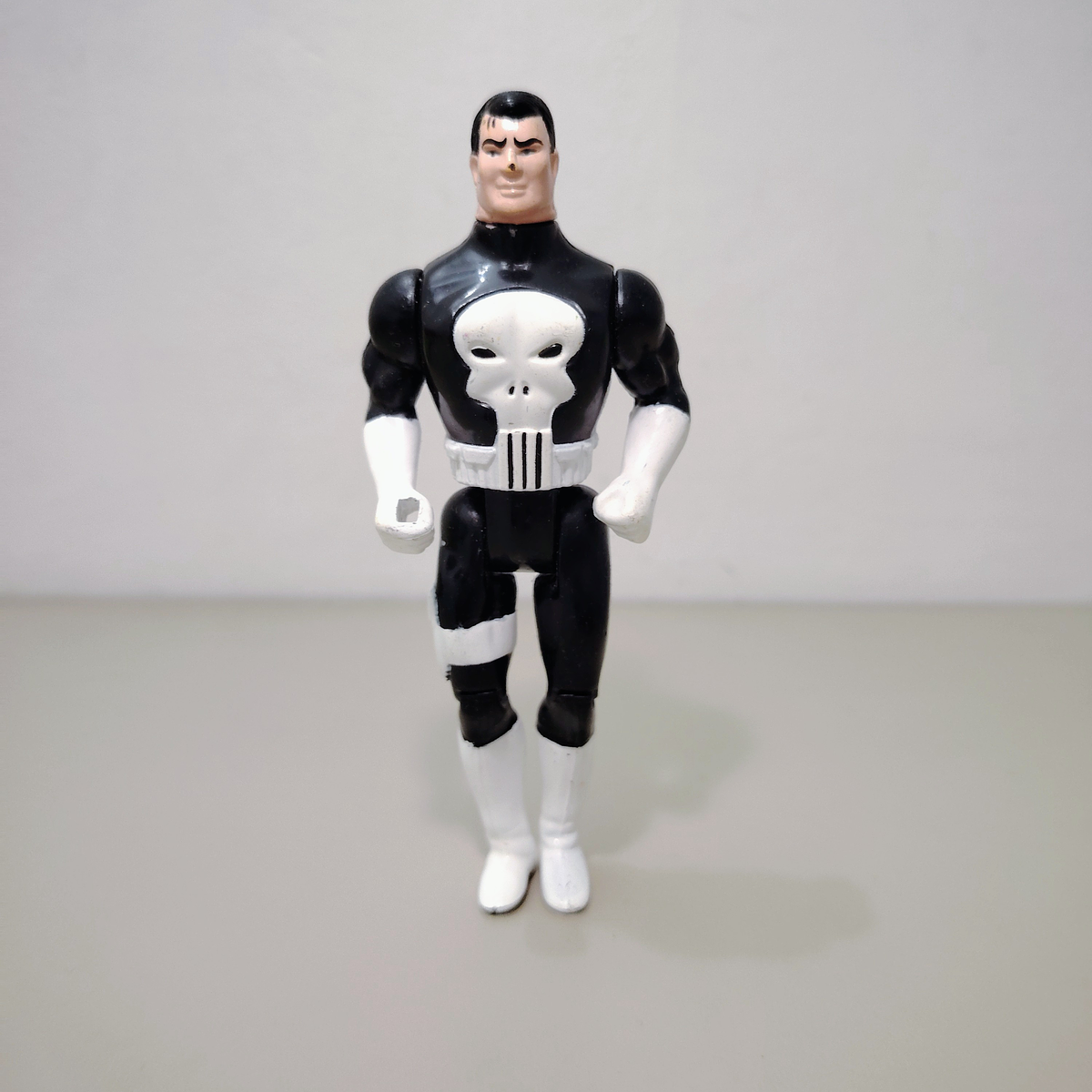 THE PUNISHER 