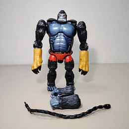 MARCO GORILLA ANIMORPHS