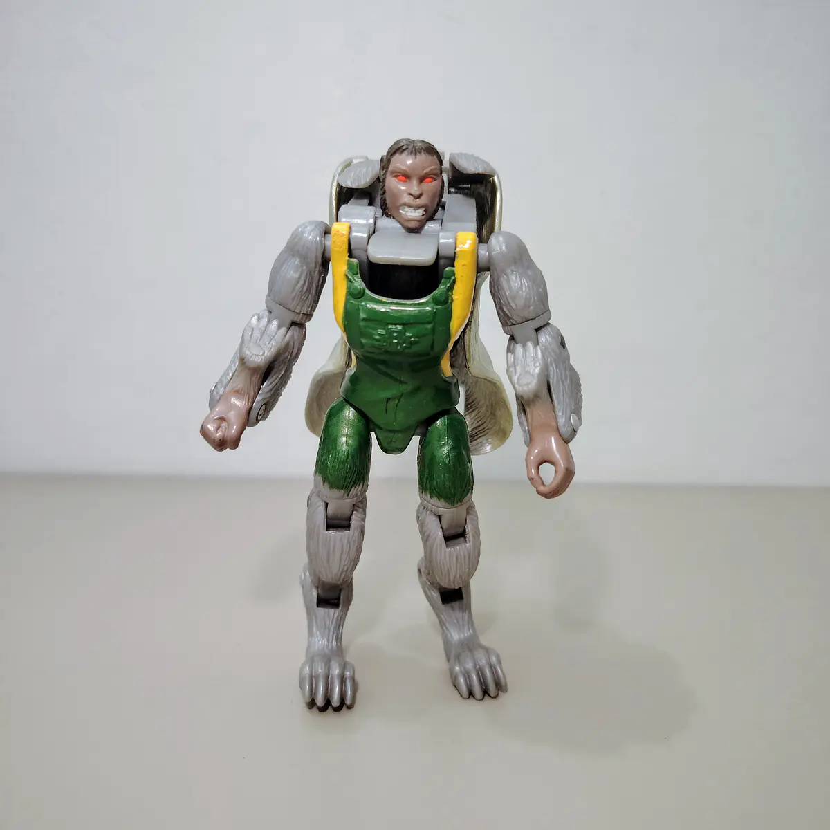 CASSIE WOLF ANIMORPH 