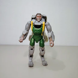 CASSIE WOLF ANIMORPH 