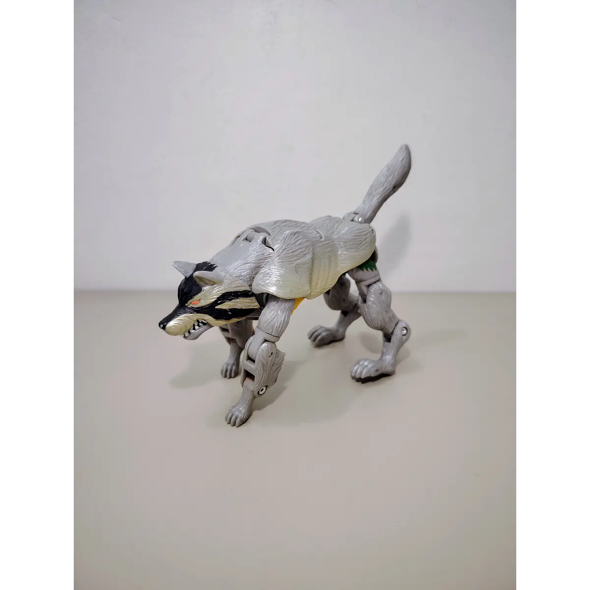 CASSIE WOLF ANIMORPH 