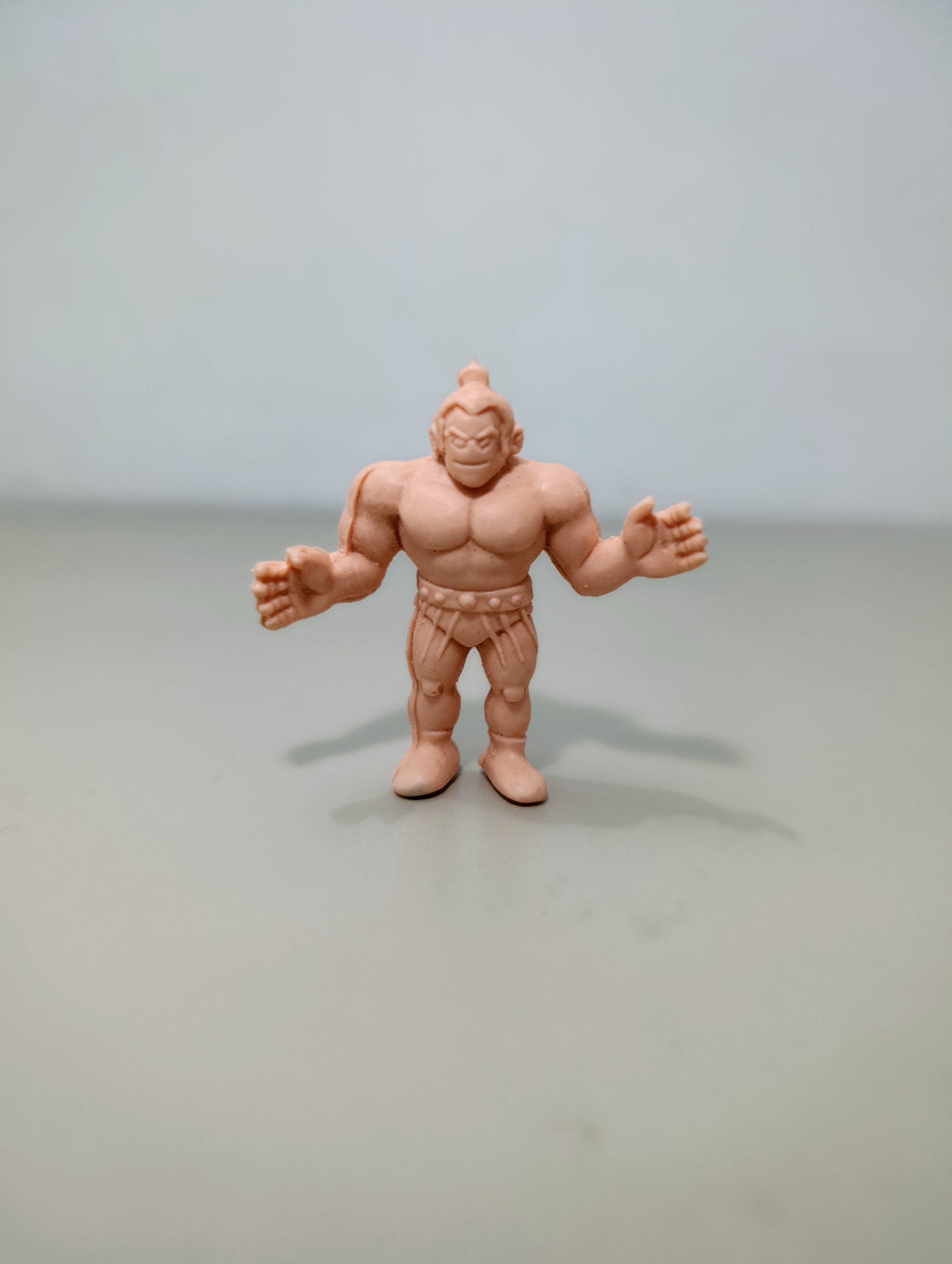 MUSCLE