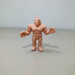 MUSCLE
