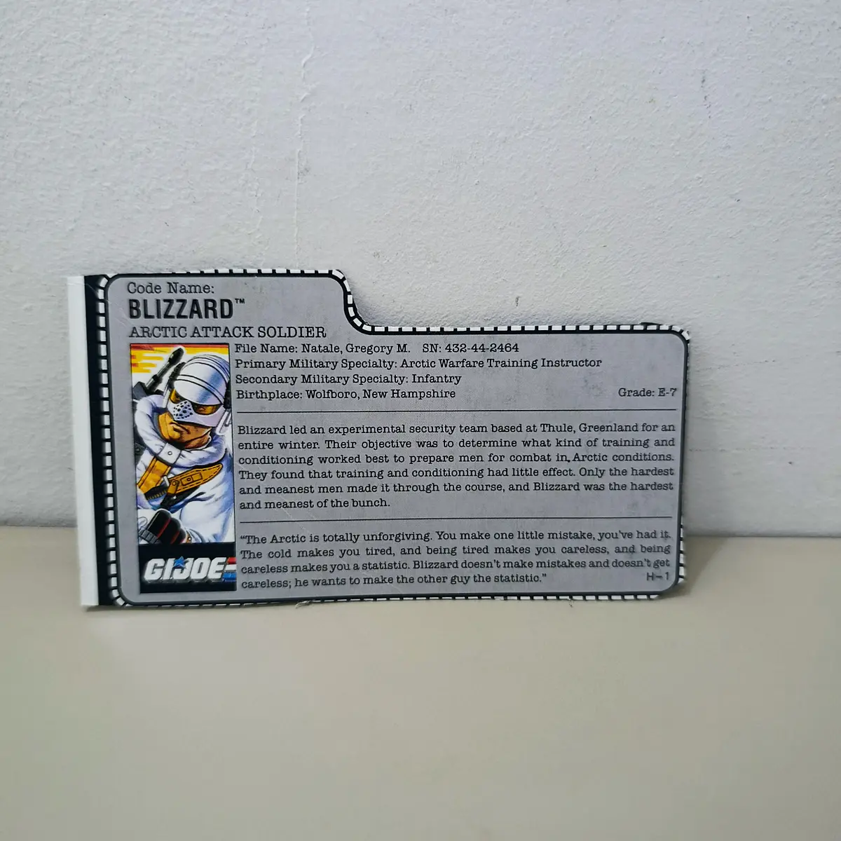 FILECARD BLIZZARD