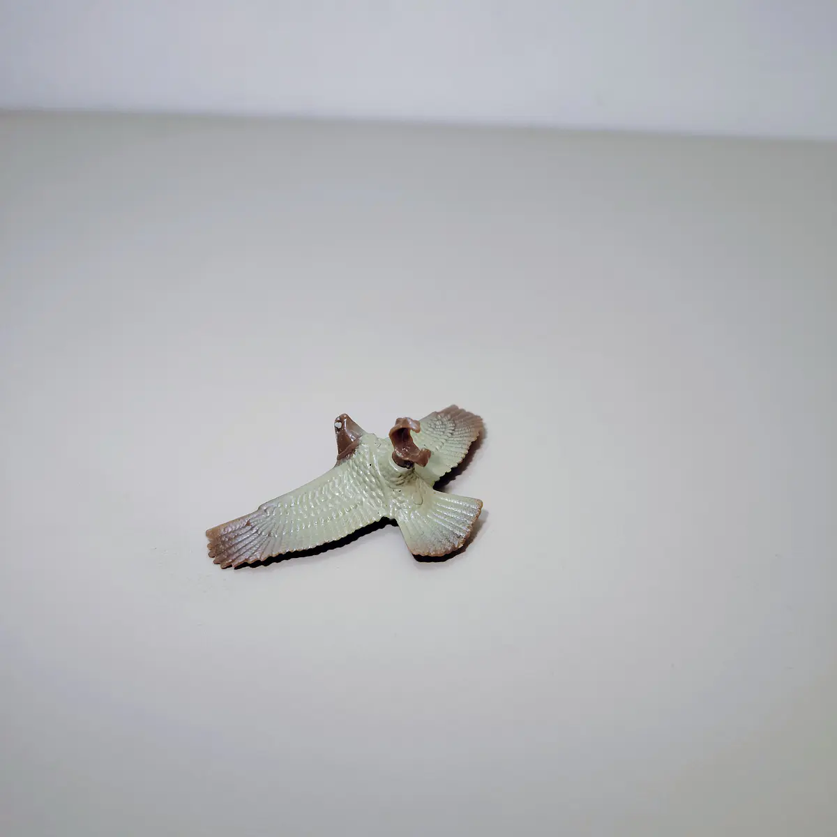 ACCESORIO RAPTOR 