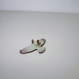 ACCESORIO RAPTOR 