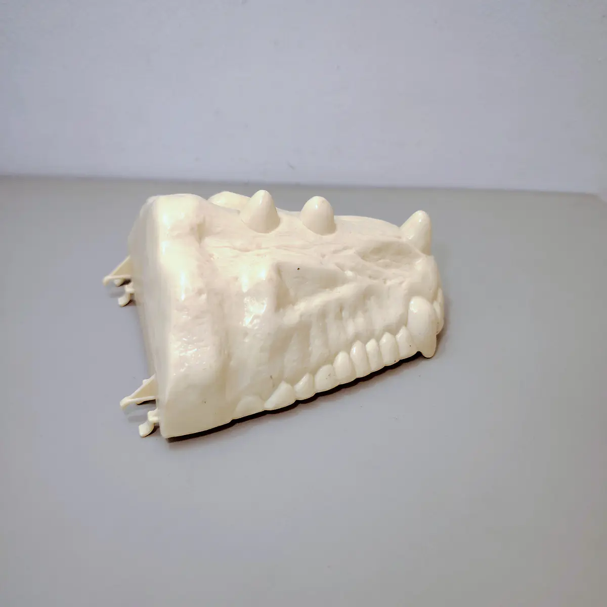 ACCESORIO BATTLE BONES