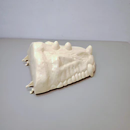ACCESORIO BATTLE BONES