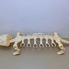 BATTLEBONES