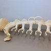 BATTLEBONES
