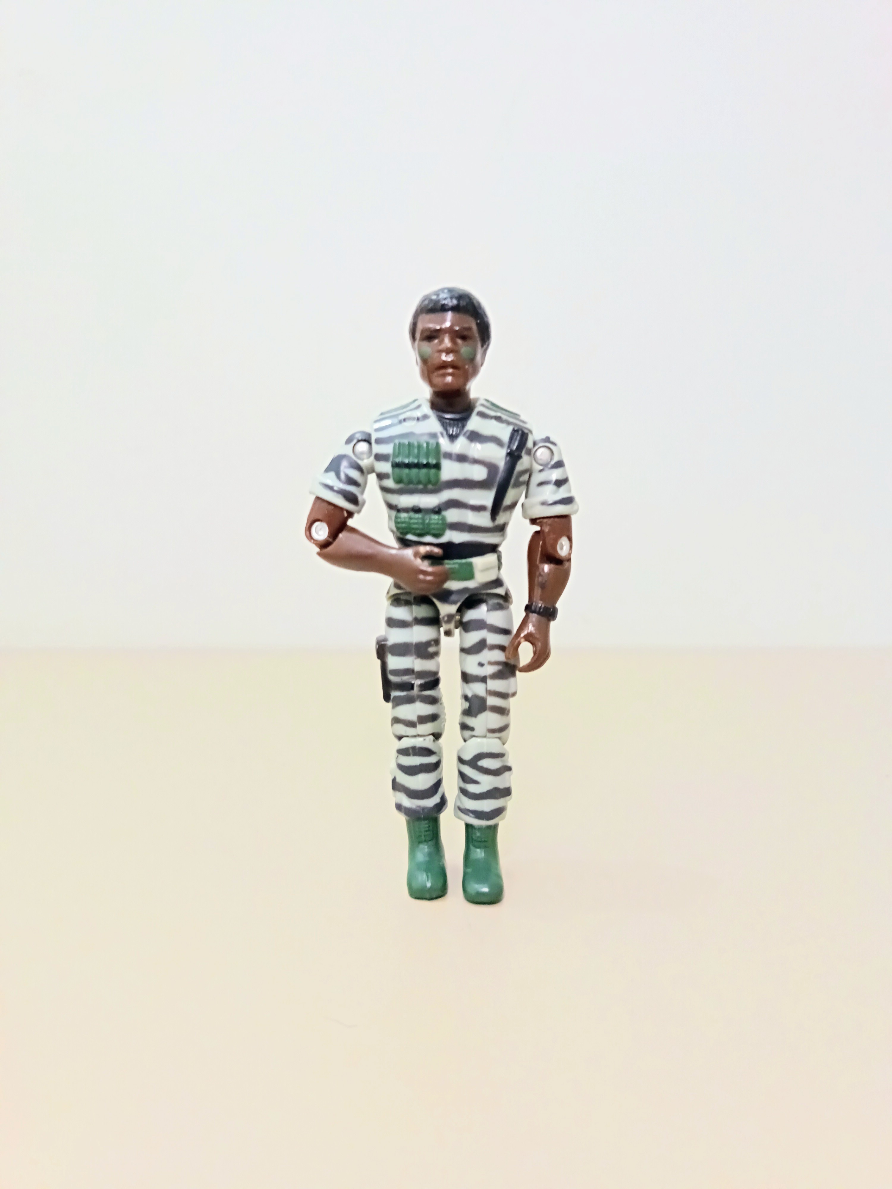 FIGURA LANARD