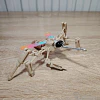 WORLD INVADIN INSECTS