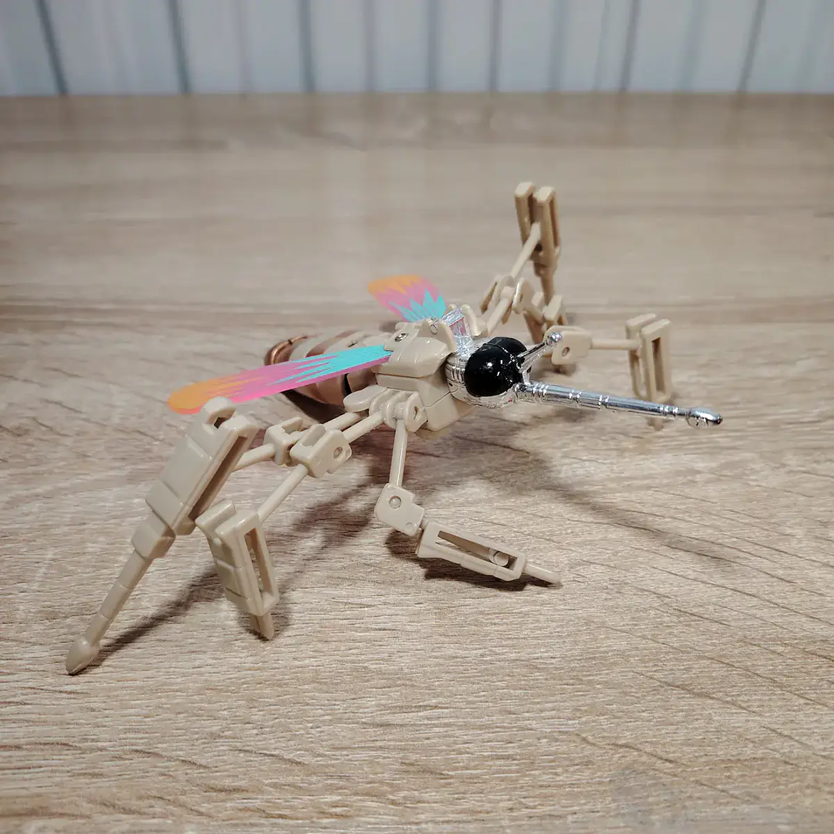 WORLD INVADIN INSECTS