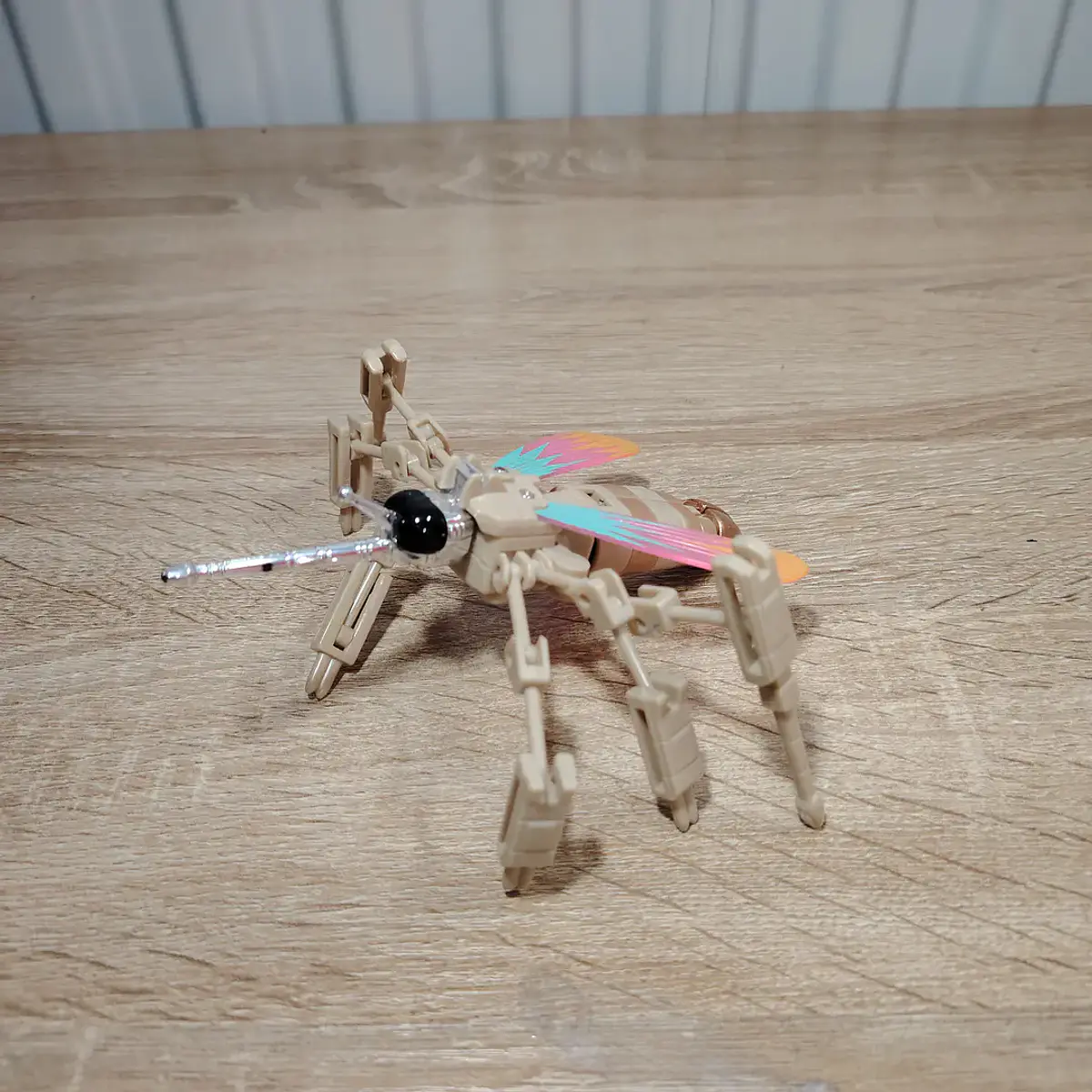WORLD INVADIN INSECTS