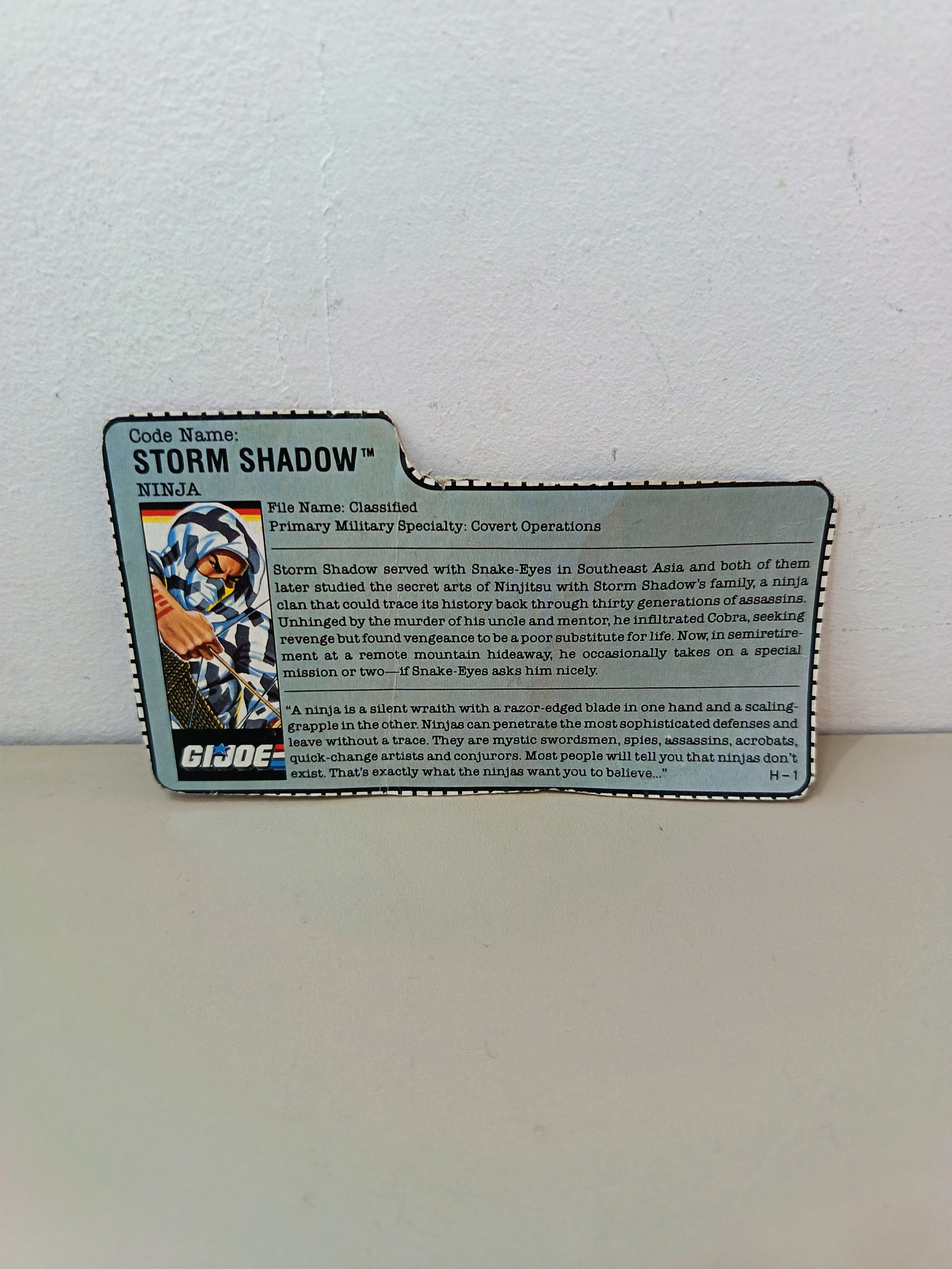 FILECARD STORM SHADOW