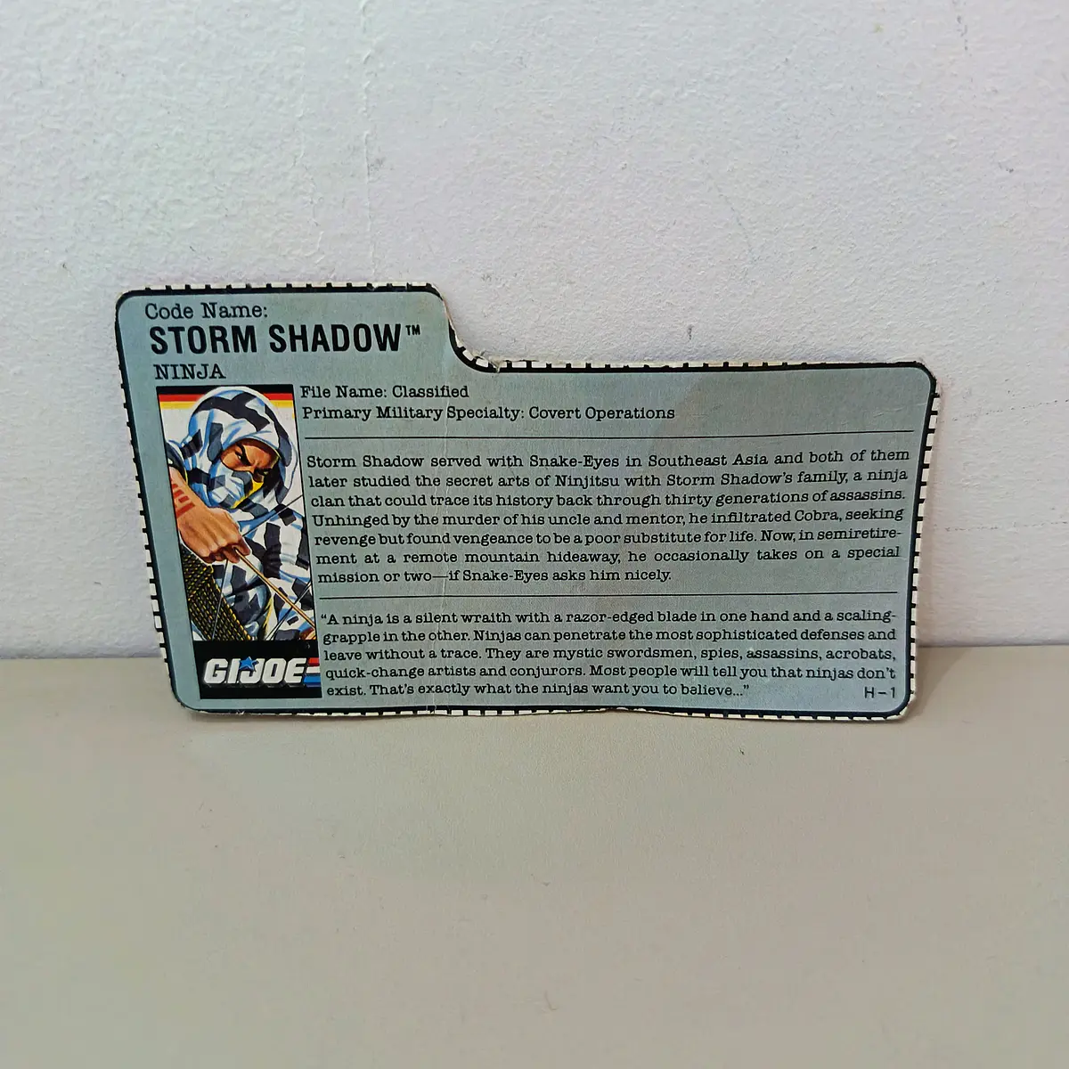 FILECARD STORM SHADOW 