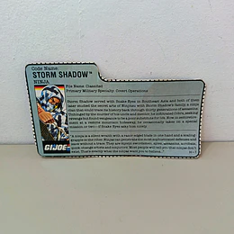 FILECARD STORM SHADOW 